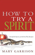 How to Try a Spirit: Identify Evil Spirits and the Fruit They Manifest - Paperback