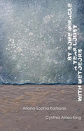 By Some Miracle a Year Lousy with Meteors - Paperback