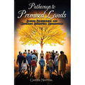 Pathways to Promised Lands Sacred Pilgrimages and Ultimate Spiritual Aspirations - Paperback