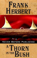 A Thorn in the Bush - Paperback