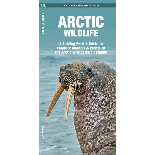 Arctic Wildlife: A Folding Pocket Guide to Familiar Animals & Plants of the Arctic and Subarctic Regions