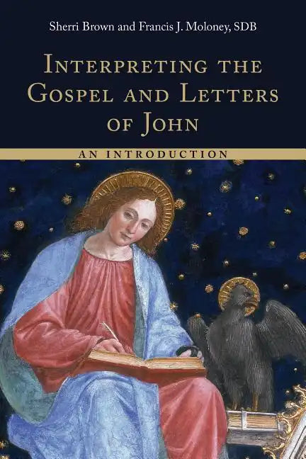 Interpreting the Gospel and Letters of John: An Introduction - Paperback