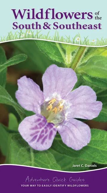 Wildflowers of the South & Southeast: Your Way to Easily Identify Wildflowers - Spiral