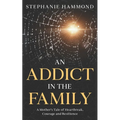 An Addict in the Family: A Mother's Tale of Heartbreak, Courage and Resilience - Paperback
