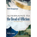 Alternative to the Bread of Affliction: And Other Essays - Hardcover