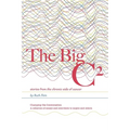 The Big C²: stories from the chronic side of cancer - Paperback