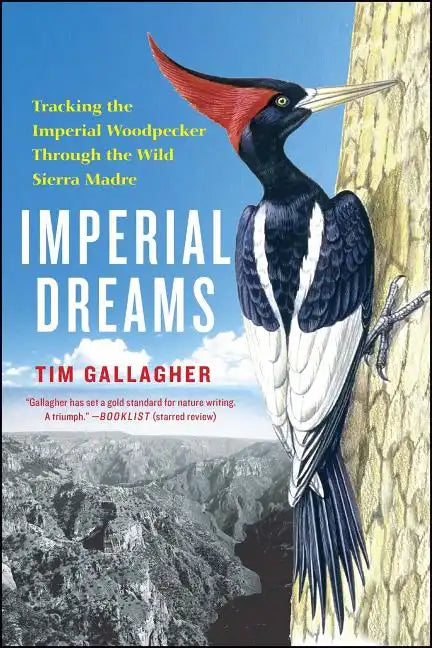 Imperial Dreams: Tracking the Imperial Woodpecker Through the Wild - Paperback