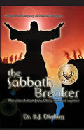 The Sabbath Breaker - Paperback