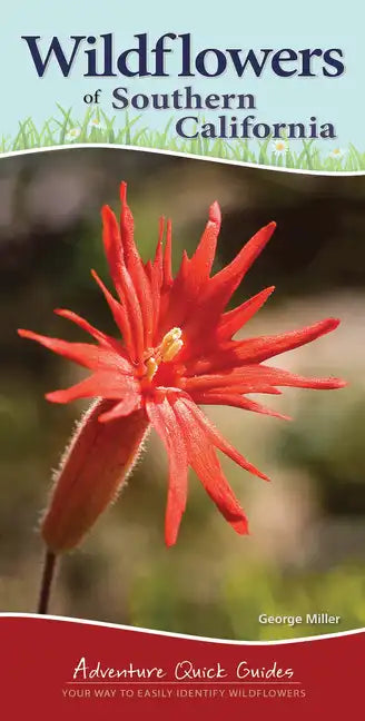 Wildflowers of Southern California: Your Way to Easily Identify Wildflowers - Spiral