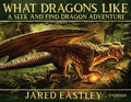 What Dragons Like: A Seek and Find Dragon Adventure - Paperback