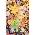 Seven By 7, The Door County Poet Laureates - Paperback
