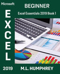 Excel 2019 Beginner - Paperback