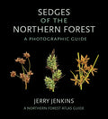 Sedges of the Northern Forest: A Photographic Guide - Paperback