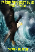 Taking Authority Over Your Storm - Paperback