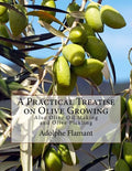 A Practical Treatise on Olive Growing: Also Olive Oil Making and Olive Pickling - Paperback
