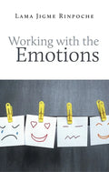 Working with the Emotions - Paperback