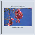 Walk-A-Bout with Plants - Paperback
