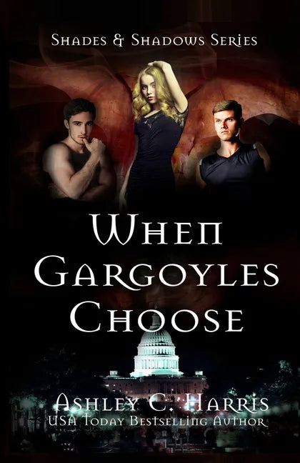 When Gargoyles Choose - Paperback