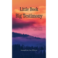 Little Book, Big Testimony: How Vulnerability led to Victory - Hardcover