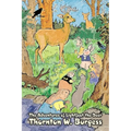 The Adventures of Lightfoot the Deer by Thornton Burgess, Fiction, Animals, Fantasy & Magic - Paperback