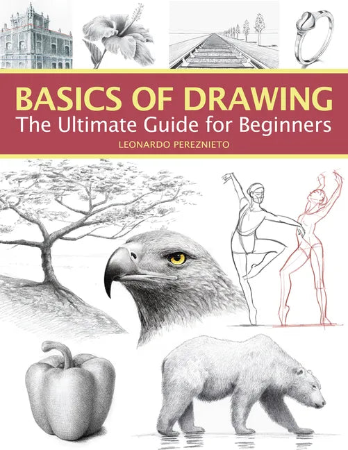 Basics of Drawing: The Ultimate Guide for Beginners - Paperback
