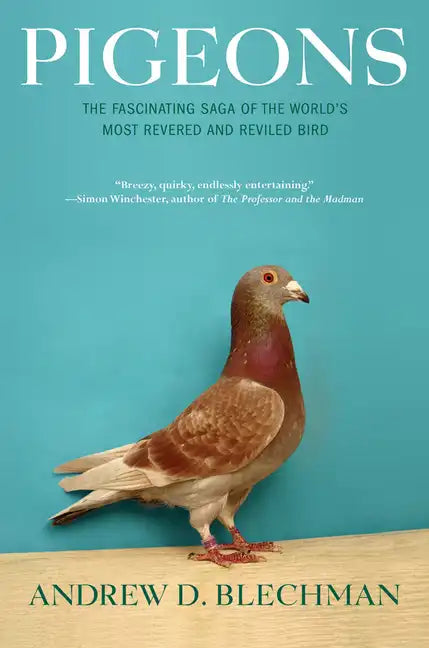 Pigeons: The Fascinating Saga of the World's Most Revered and Reviled Bird - Paperback