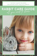 Rabbit Care Guide Book: The Ultimate Bunny Care Book - Paperback