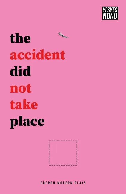 The accident did not take place - Paperback
