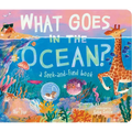 What Goes in the Ocean?: A Seek-And-Find Book - Board Book