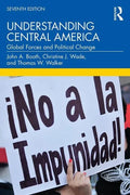 Understanding Central America: Global Forces and Political Change - Paperback