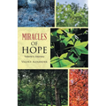 Miracles of HOPE: Valerie's Journey - Paperback