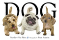 Dog - Hardcover