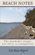 Beach Notes: The pandemic surges yet there is tranquility - Paperback