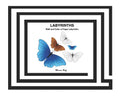 Labyrinths: Walk and Color a Finger Labyrinth(c) - Hardcover