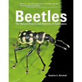 Beetles: The Natural History and Diversity of Coleoptera - Hardcover