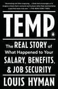 Temp: The Real Story of What Happened to Your Salary, Benefits, and Job Security - Paperback