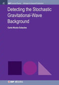 Detecting the Stochastic Gravitational-Wave Background - Paperback