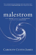 Malestrom: Manhood Swept Into the Currents of a Changing World - Hardcover