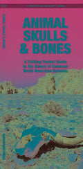 Animal Skulls & Bones: A Laminated Folding Guide to the Bones of Common North American Animals