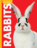 Curious about Rabbits - Paperback