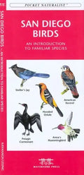 San Francisco Birds: An Introduction to Familiar Species