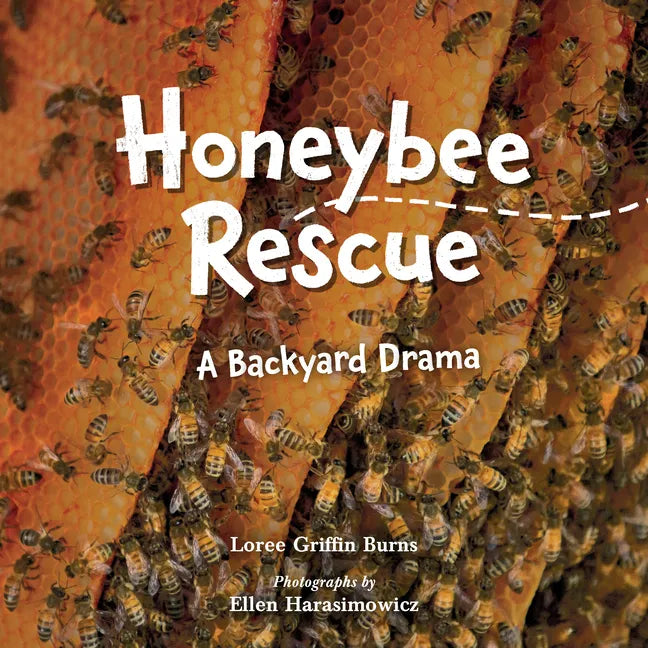 Honeybee Rescue: A Backyard Drama - Hardcover