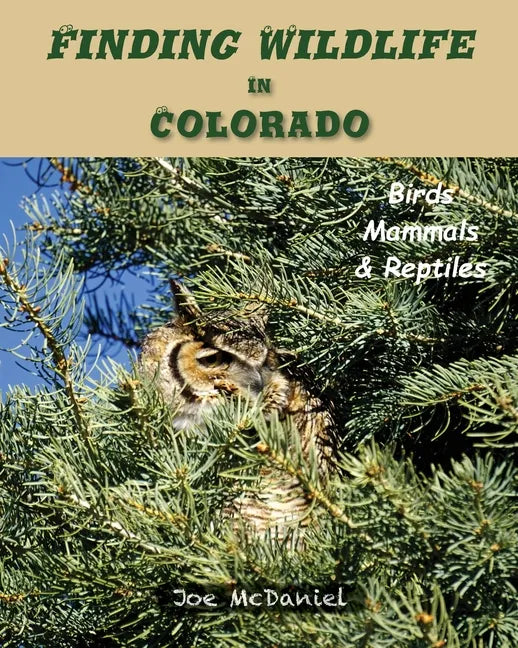 Finding Wildlife In Colorado: Birds, Mammals and Reptiles - Paperback
