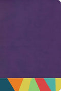 Rvr 1960 Biblia de Estudio Arcoiris, Morado/Multicolor - Imitation Leather