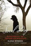 Soul Dog: A Journey Into the Spiritual Life of Animals - Paperback