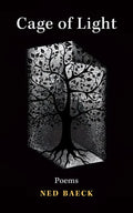 Cage of Light: Volume 295 - Paperback