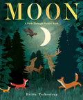Moon: A Peek-Through Picture Book - Hardcover