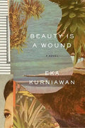 Beauty Is a Wound - Paperback