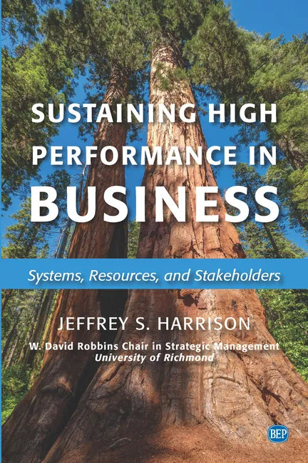 Sustaining High Performance in Business: Systems, Resources, and Stakeholders - Paperback