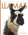 Llamas - Paperback